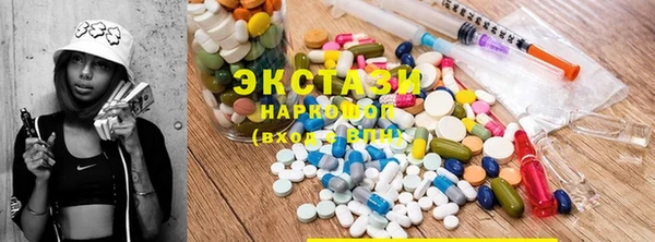 сатива Новодвинск
