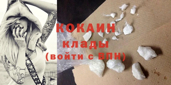 сатива Новодвинск