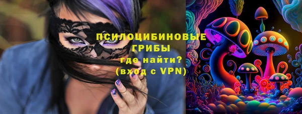 сатива Новодвинск